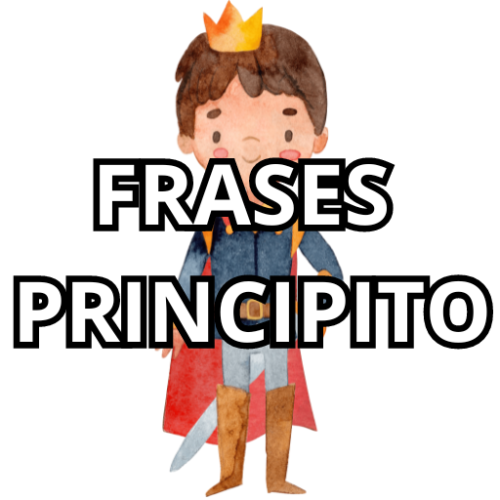 FRASES DEL PRINCIPITO