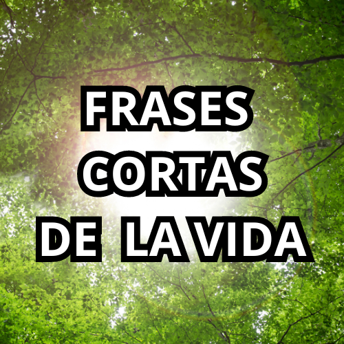 FRASES CORTAS DE LA VIDA