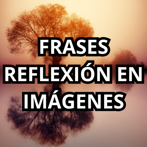 reflexion en imagenes